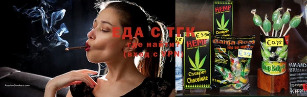 индика Горно-Алтайск