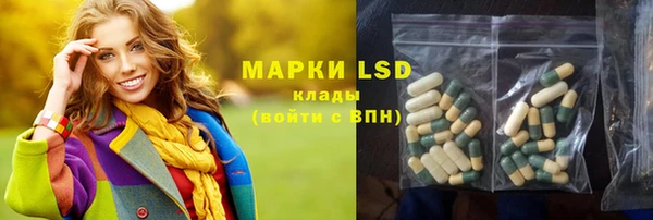 индика Горно-Алтайск
