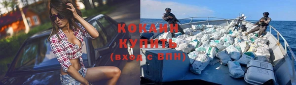 индика Горно-Алтайск