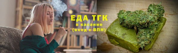 индика Горно-Алтайск