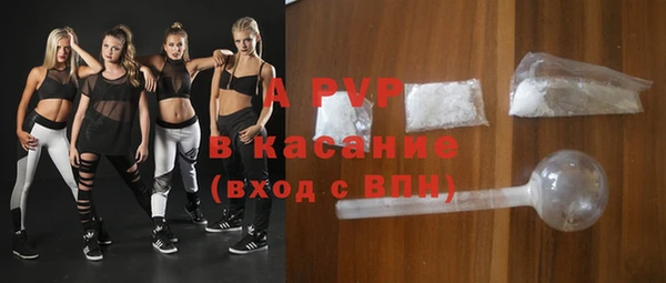 ECSTASY Горняк