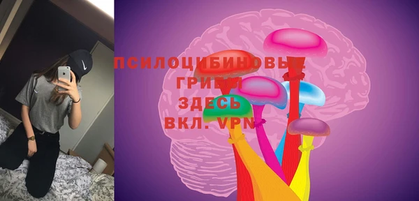 прущая мука Горнозаводск