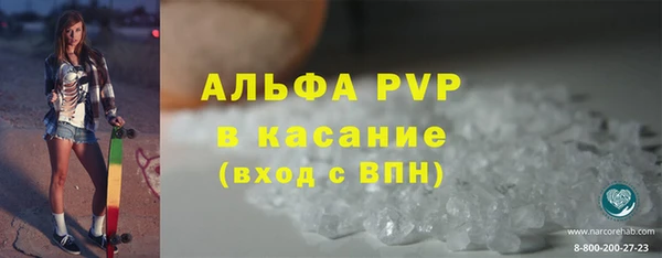 ECSTASY Горняк