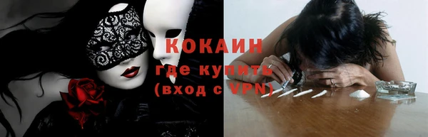 индика Горно-Алтайск