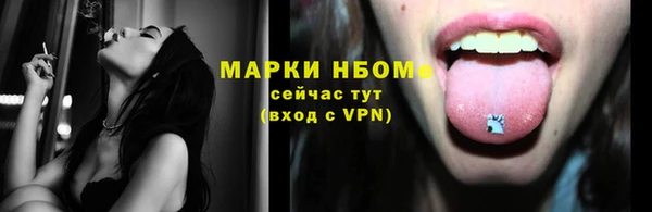 индика Горно-Алтайск