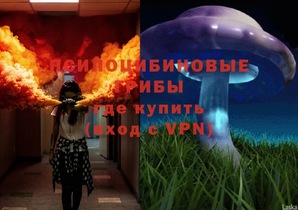 ECSTASY Горняк
