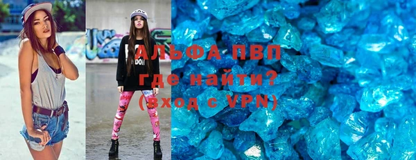 индика Горно-Алтайск