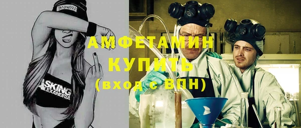 индика Горно-Алтайск
