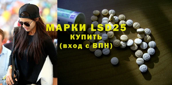 ECSTASY Горняк