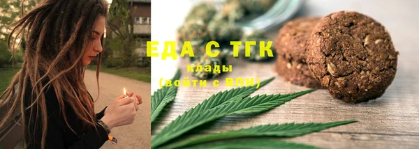 ECSTASY Горняк