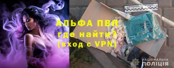 индика Горно-Алтайск