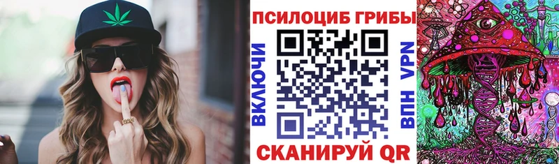 Купить  Суздаль  Псилоцибиновые грибы прущие грибы 